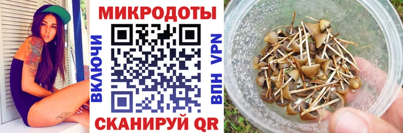 закладки  Туринск  Псилоцибиновые грибы MAGIC MUSHROOMS 